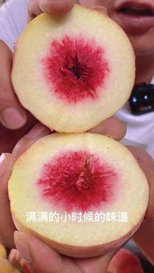 賣水果，我們真是認真的