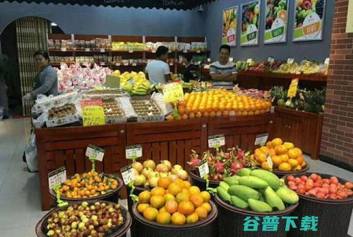 億果聯水果店價格評估、加盟前景與風險分析